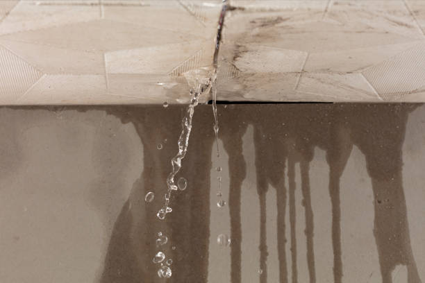 Professional Water Extraction technician working in New Athens, OH